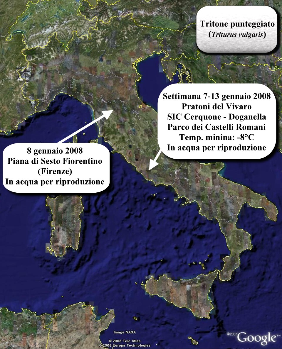 Avvistati Anfibi? Dove? Quando?